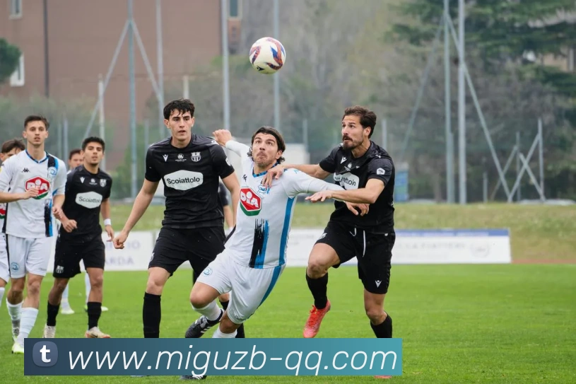 咪咕体育直播平台生态图