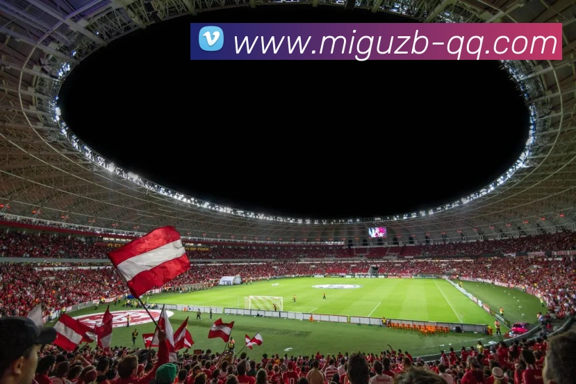 App Interface Preview